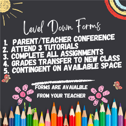 LDP Flyer